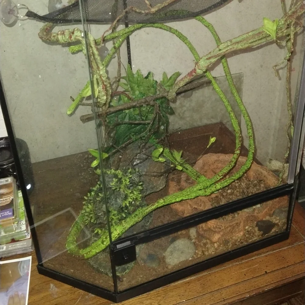 N/A reptile tank