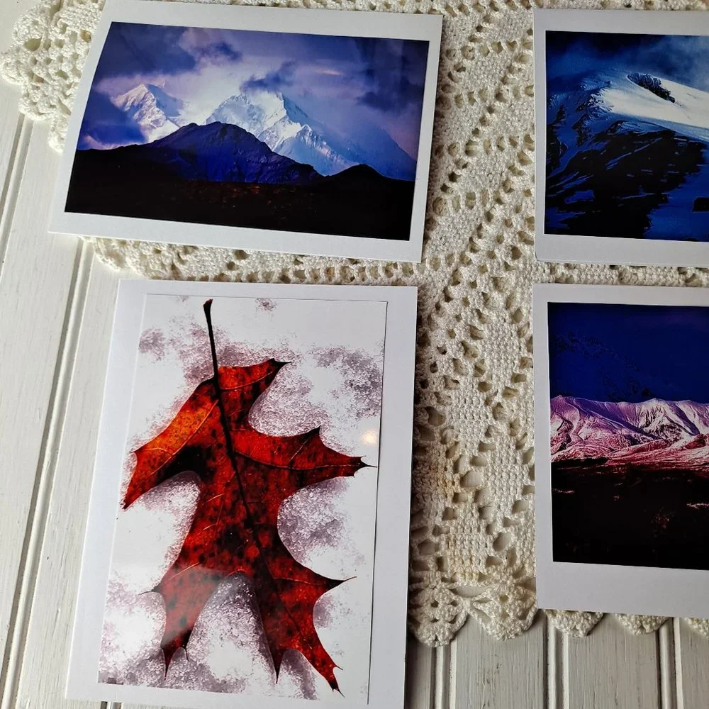 Original Photographs 10 original