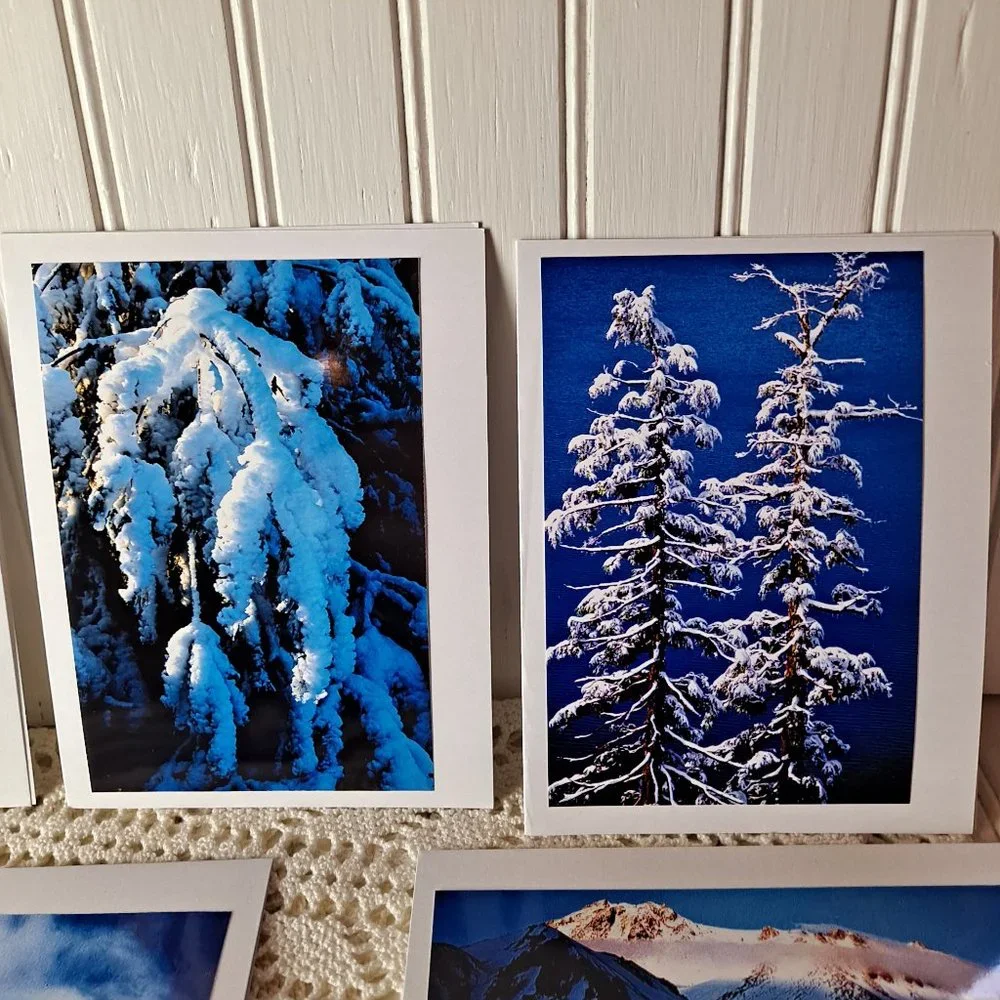 Original Photographs 10 original