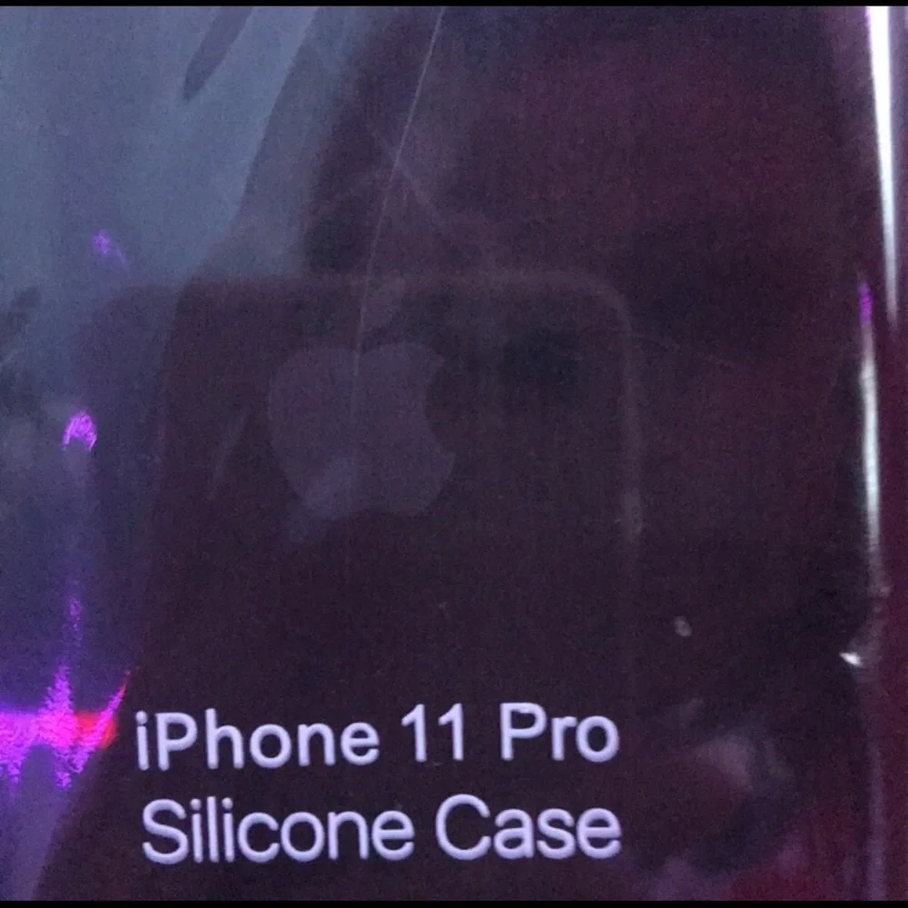 Apple case it