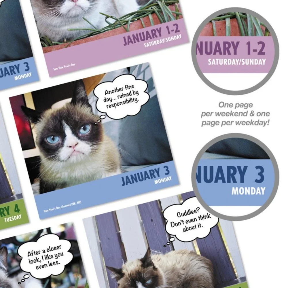 Mead grumpy cat