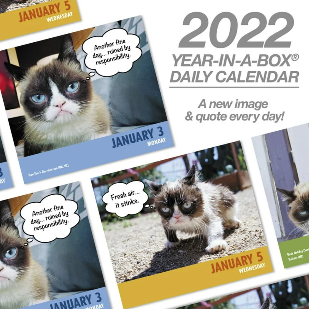 Mead grumpy cat