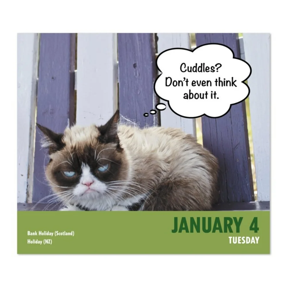 Mead grumpy cat