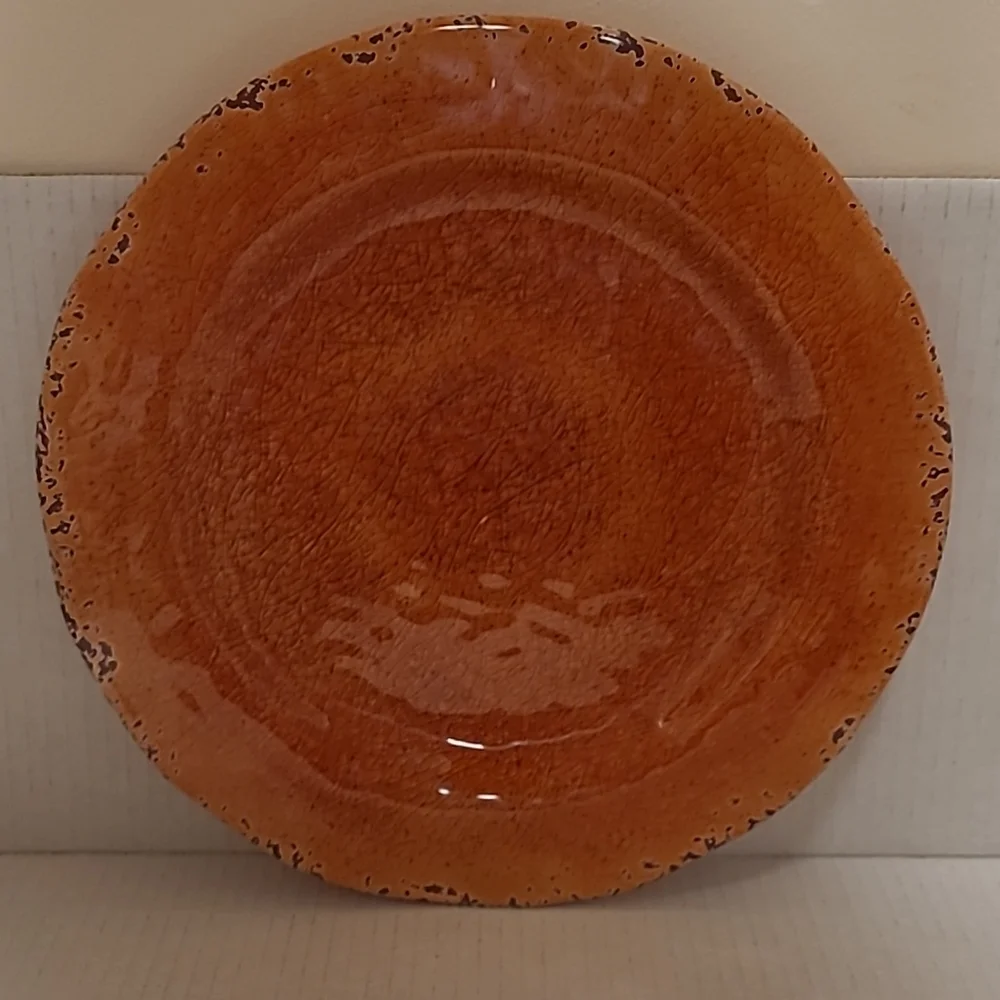 NWT Pair of Pier 1 Carmelo Melamine Plates
