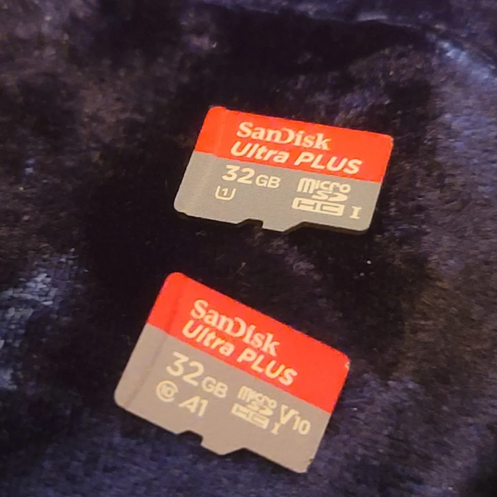 SanDisk 32GB Micro SD Cards