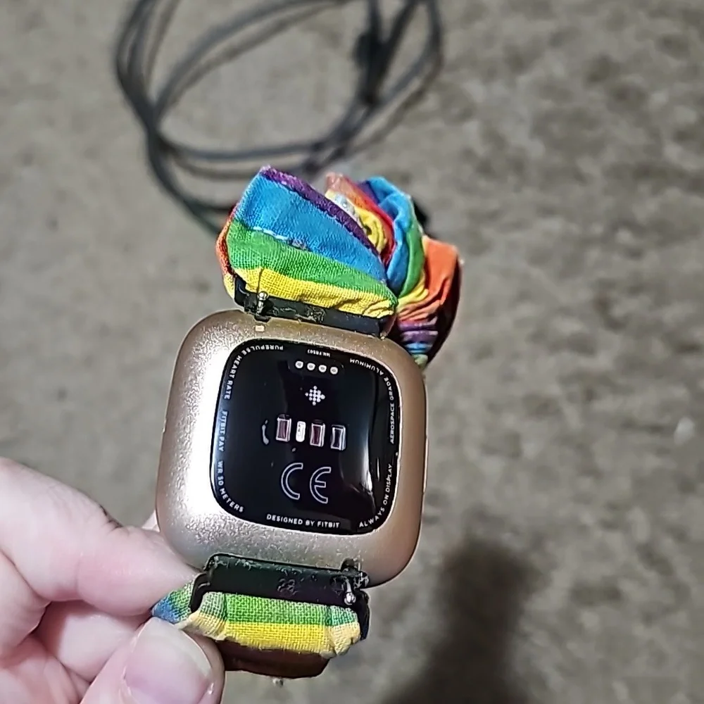 fitbit fitbot versa