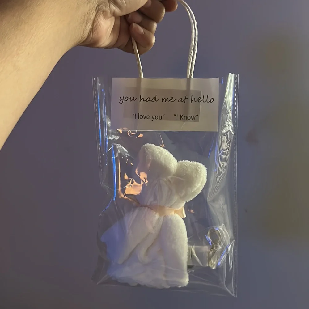 Bear Towel With Hand Gift Bag