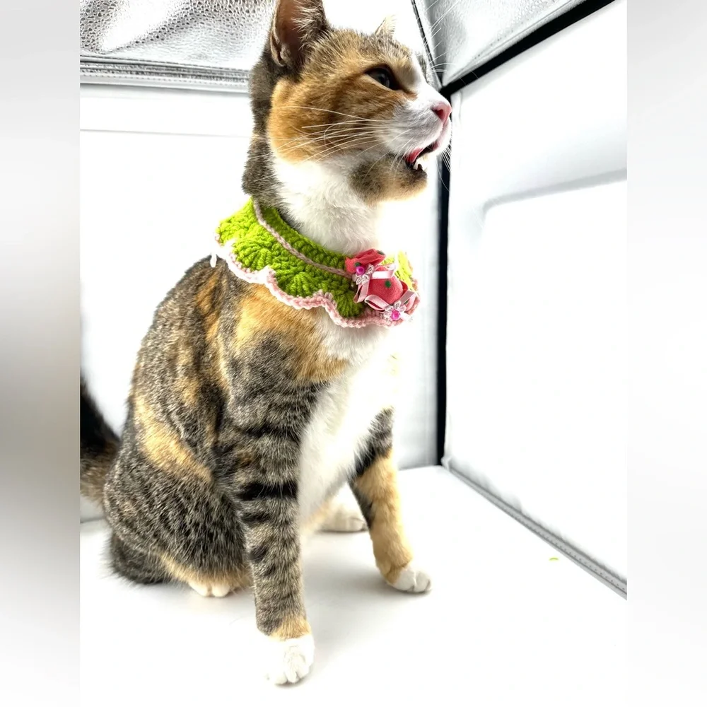 Handmade crocheted pet collar