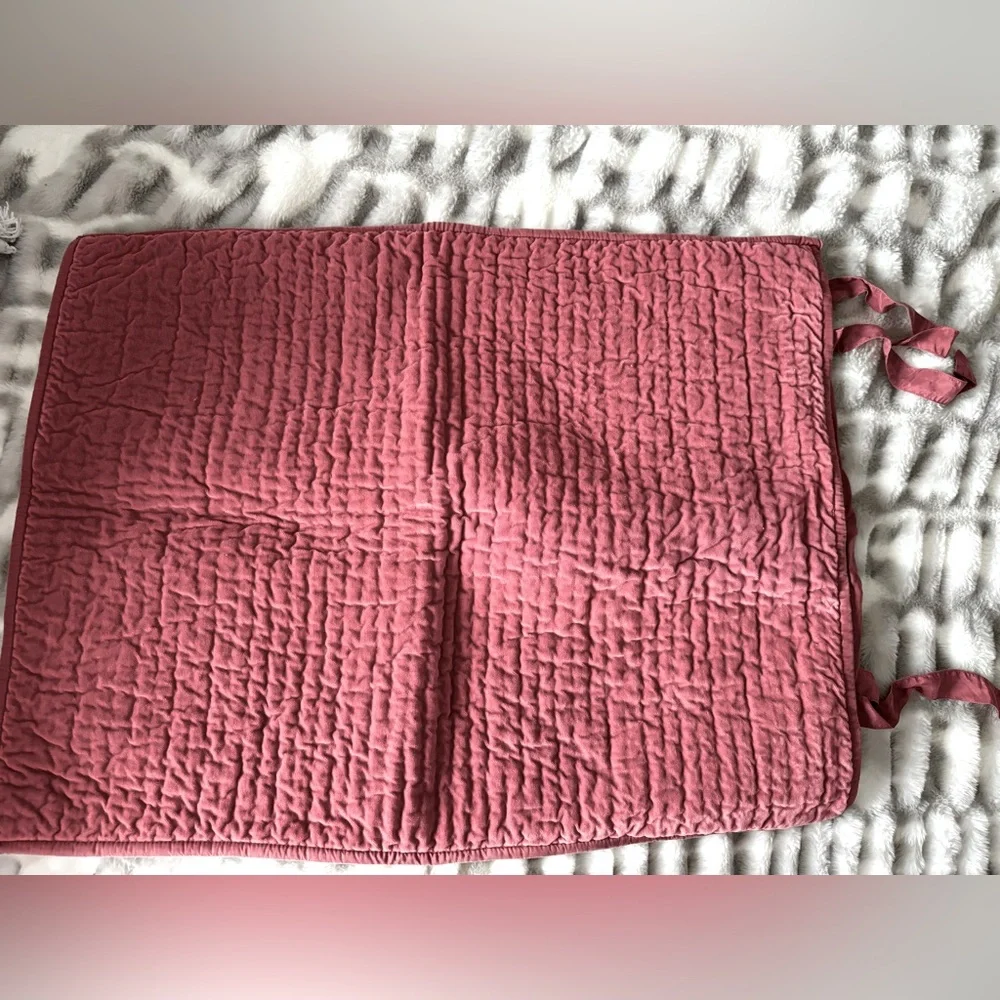 Pottery Barn Shams (2)