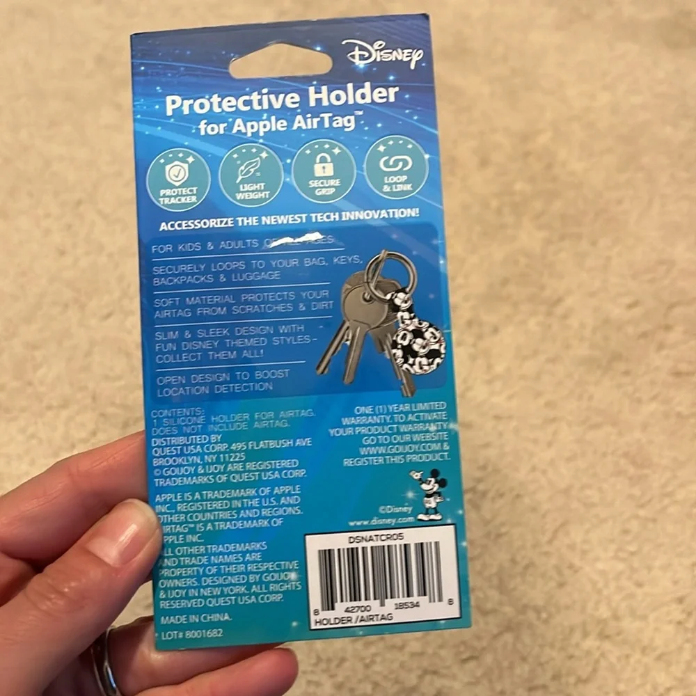 Disney description experience