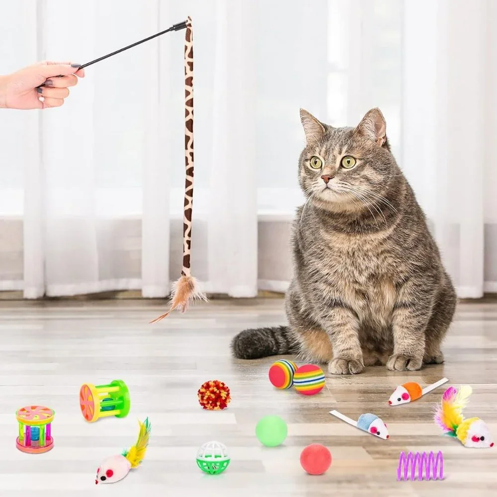Happy Cat brand new