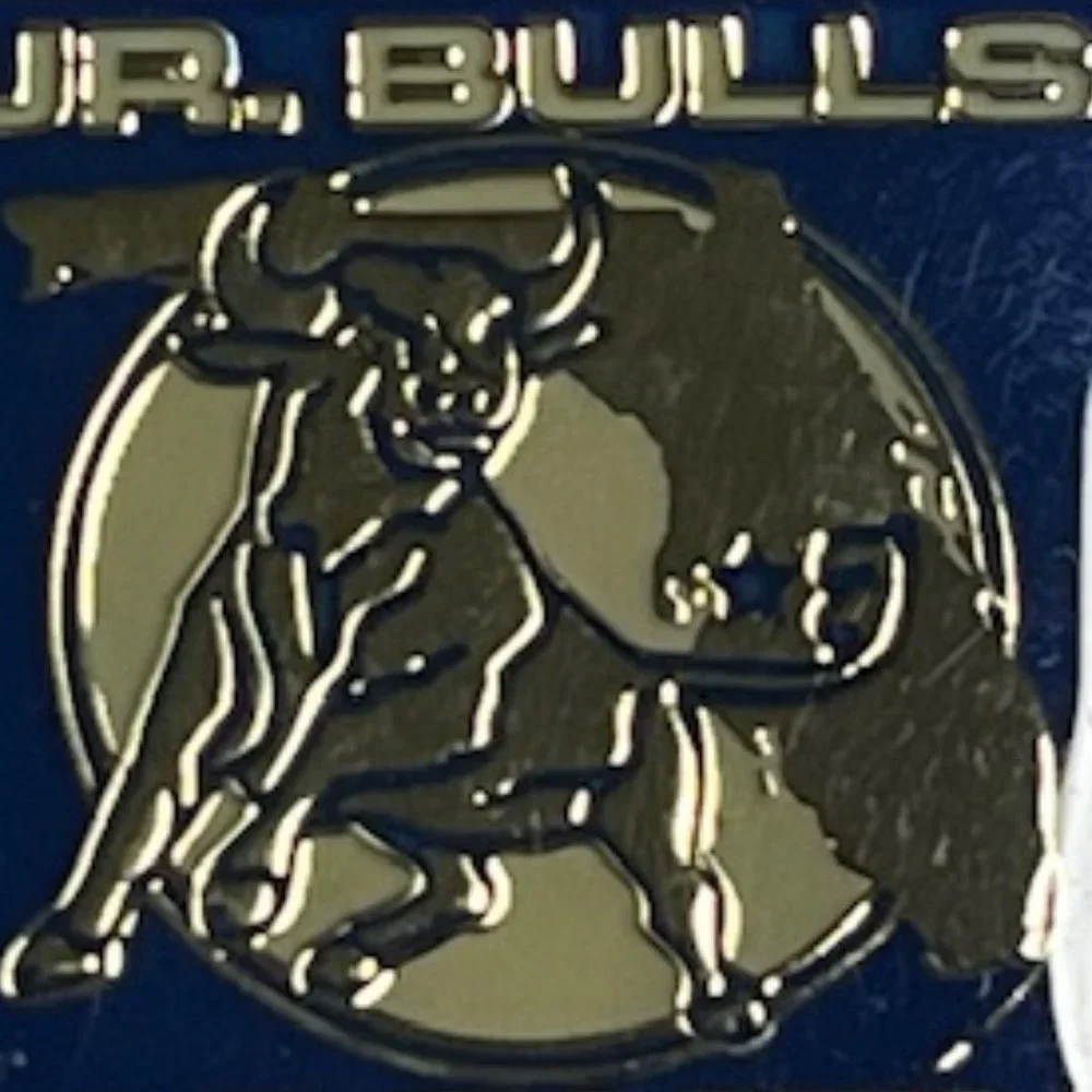 Jr Bulls Hockey jr bulls