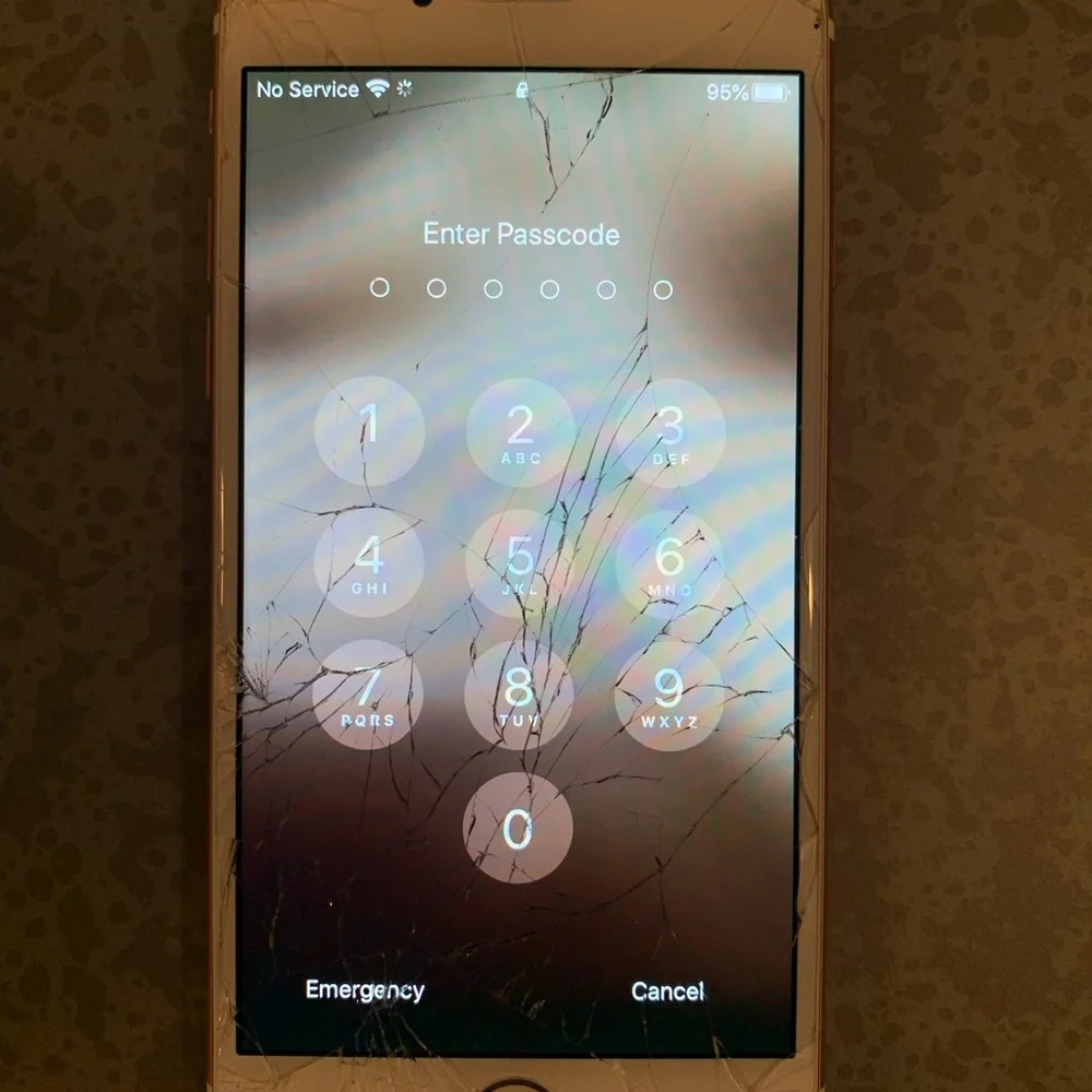 Apple fully functional