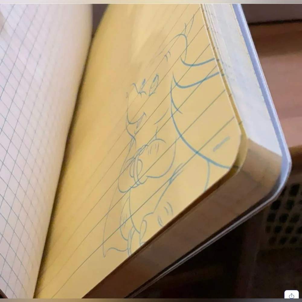 Disney: Dumbo hardcover small notebook replicate an old VHS tape of the movie.