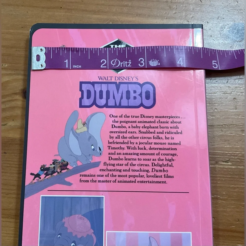 Disney diary are