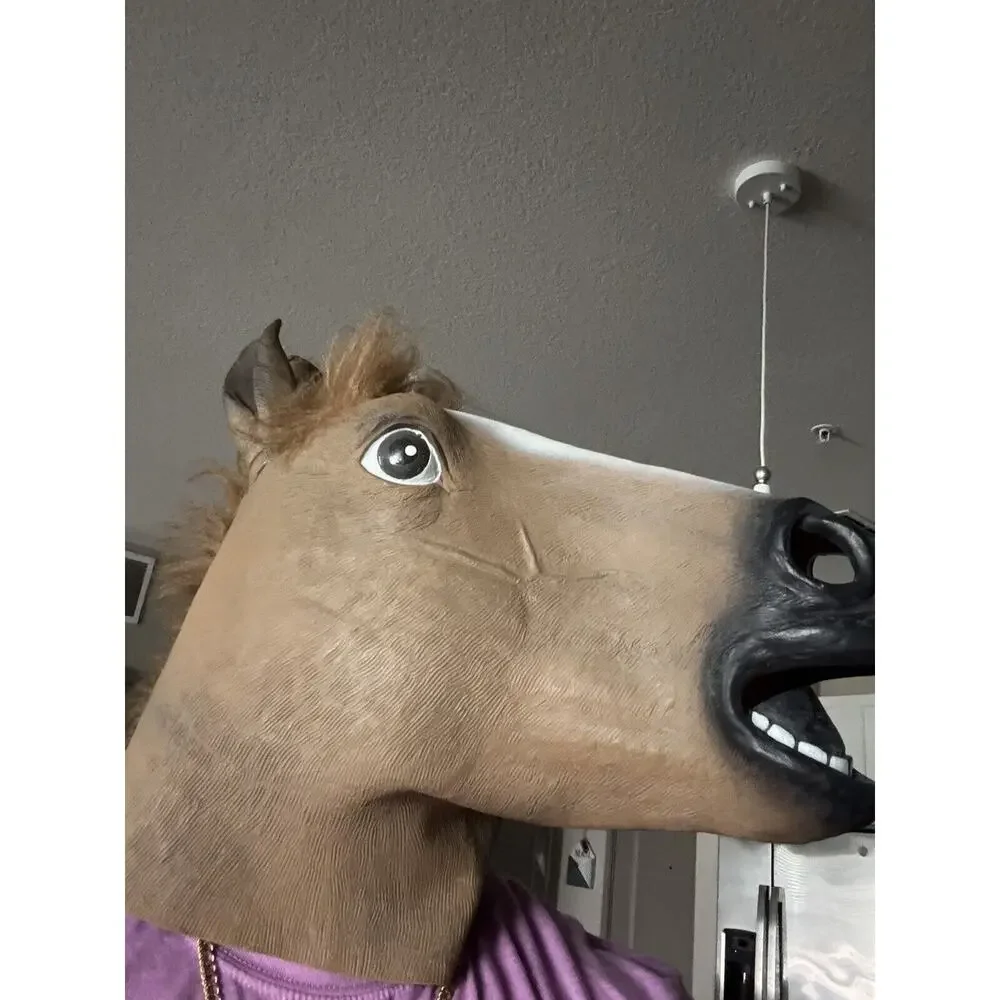 Animal get ready