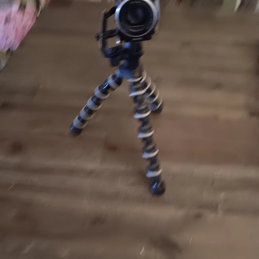 Sony capture moments