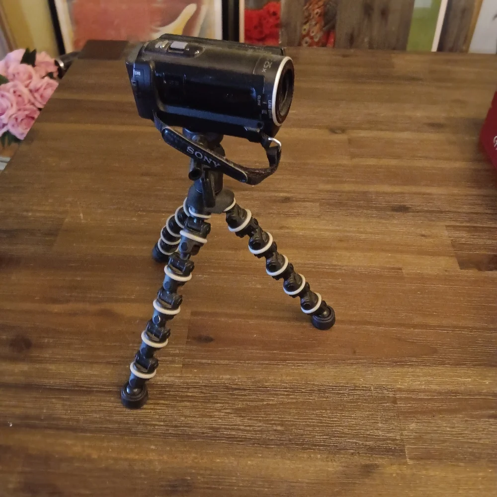 Sony capture moments