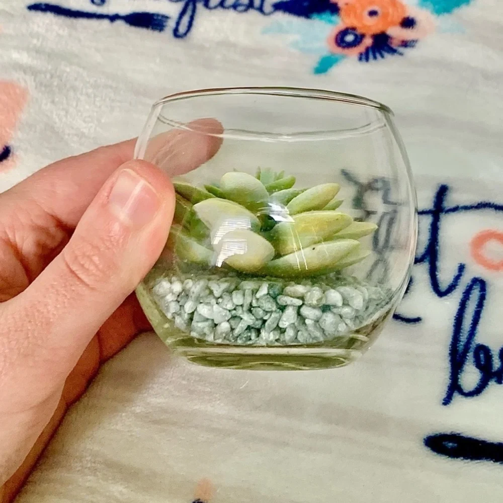 N/A faux succulent