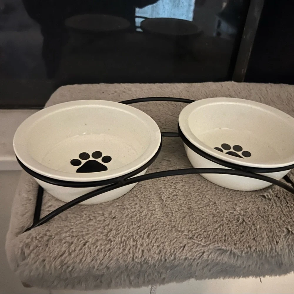 N/A cat bowls