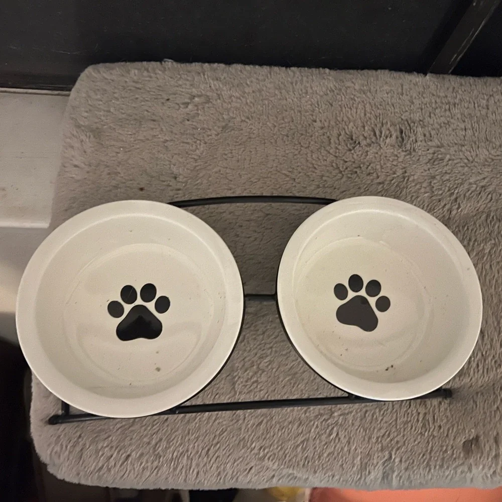 N/A cat bowls