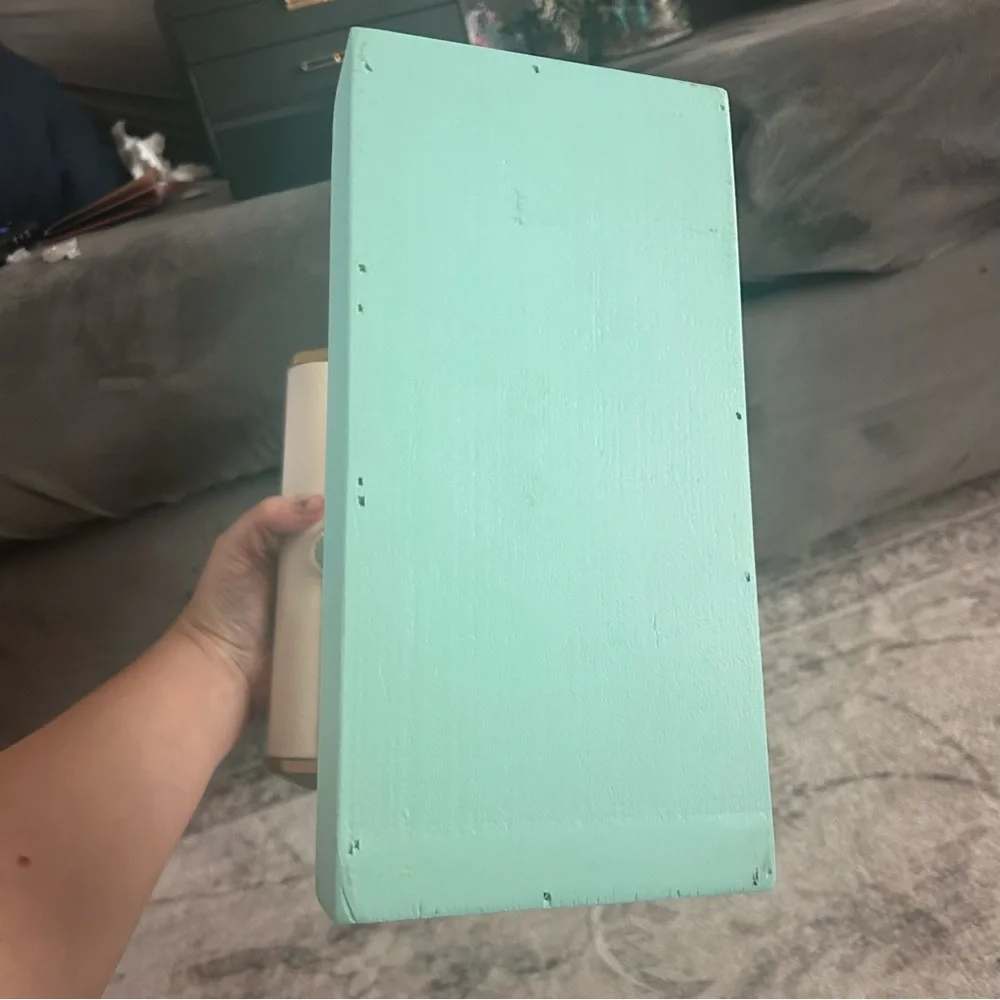 N/A pet accents organizer