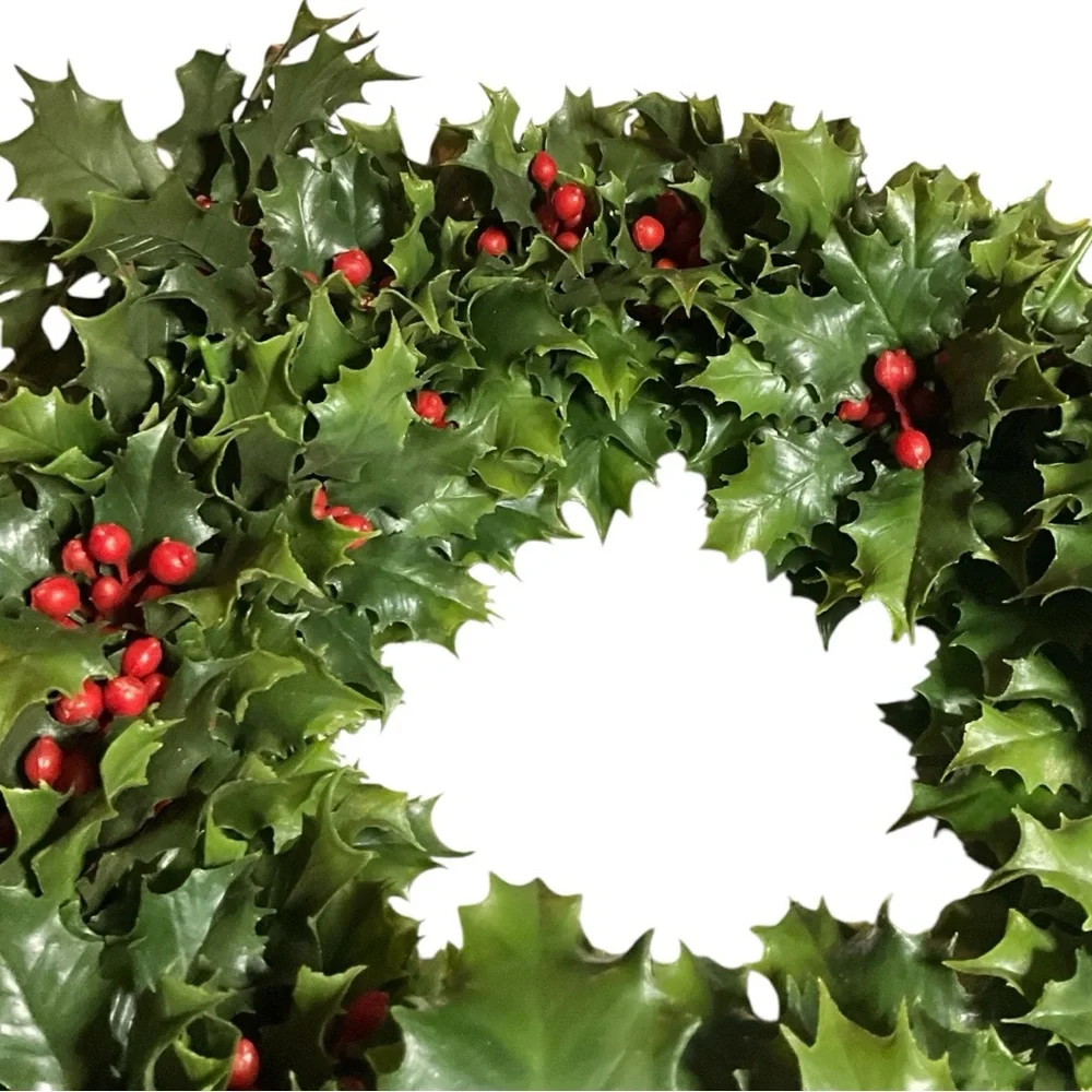 N/A holiday celebrate red
