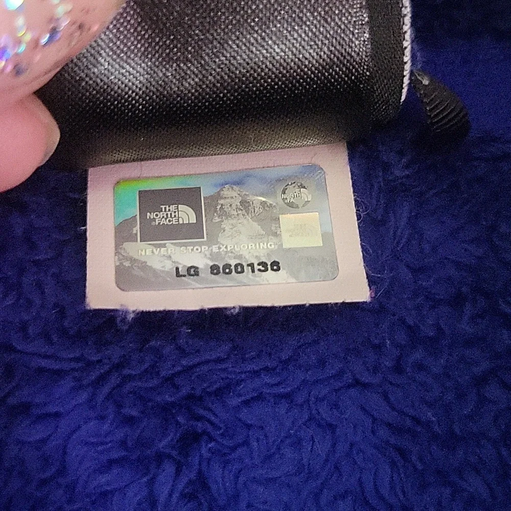 y2k northface