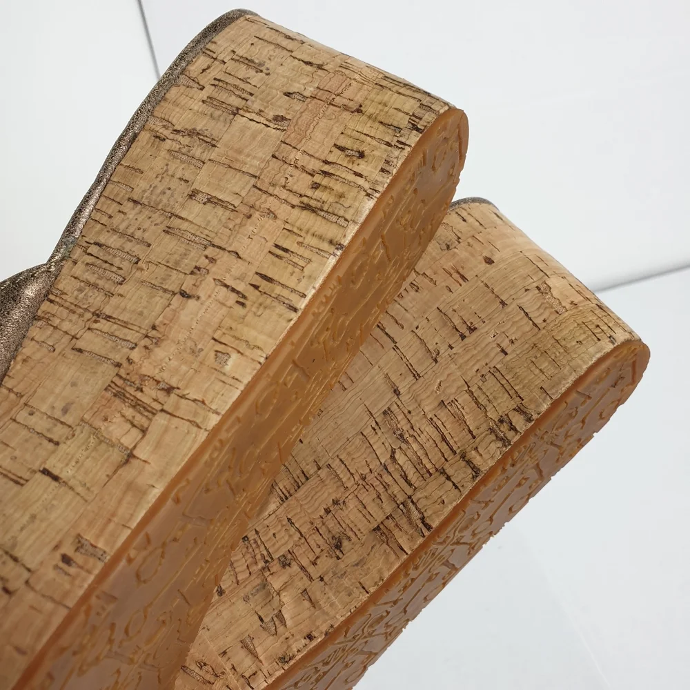 Fossil malea wedge