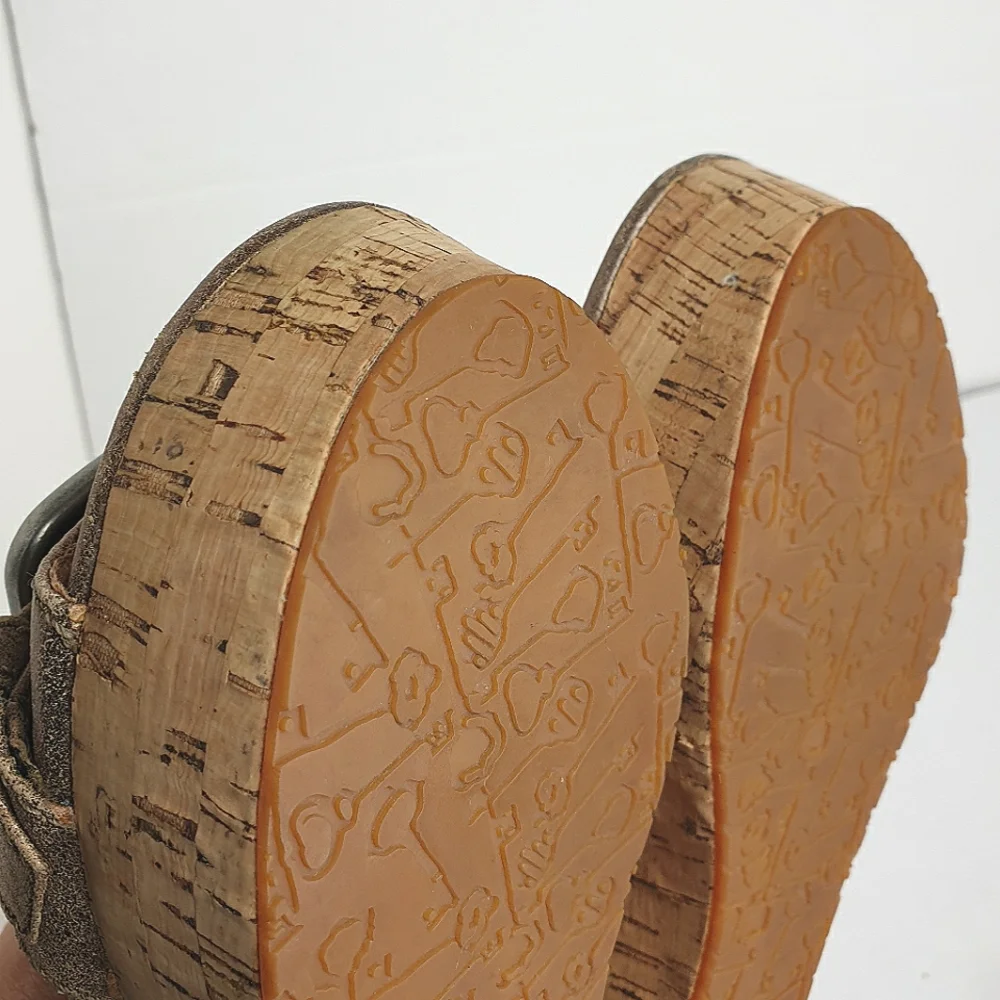 Fossil malea wedge