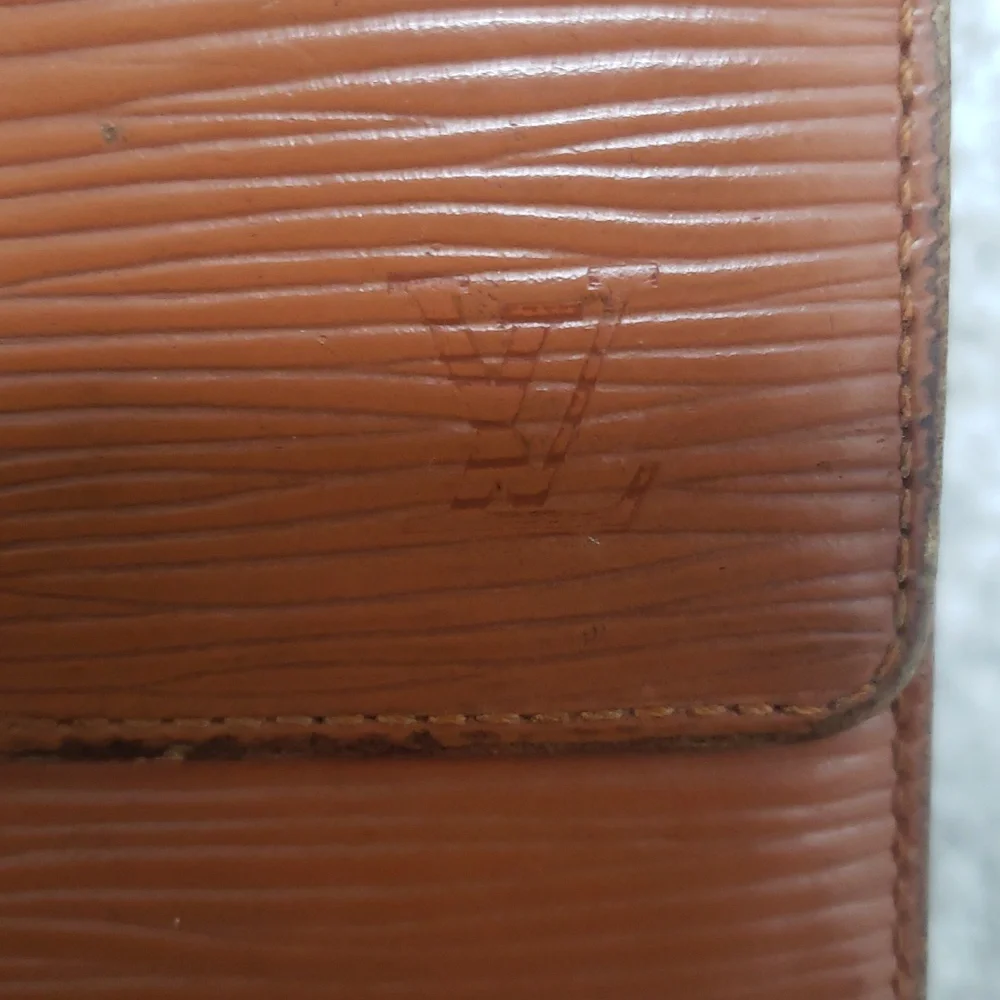 Louis Vuitton stylish brown
