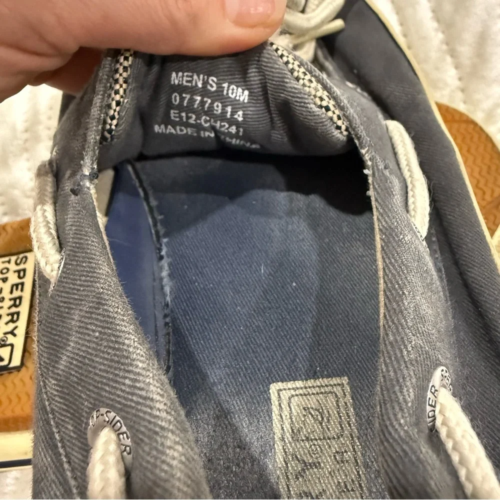 Sperry experience timeless