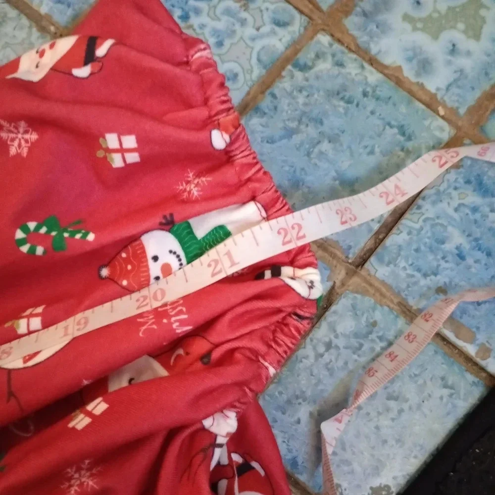 N/A christmas doggy