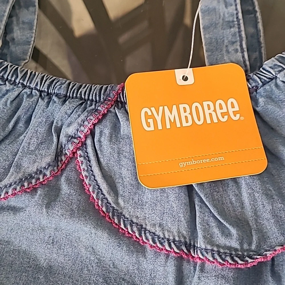 Gymboree blue pink