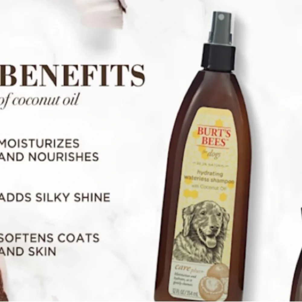 Burts Bees burt bees