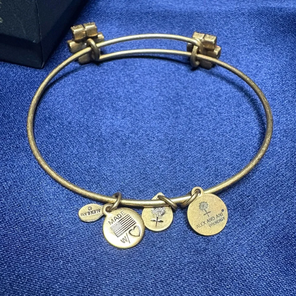 Alex and Ani stylish gold