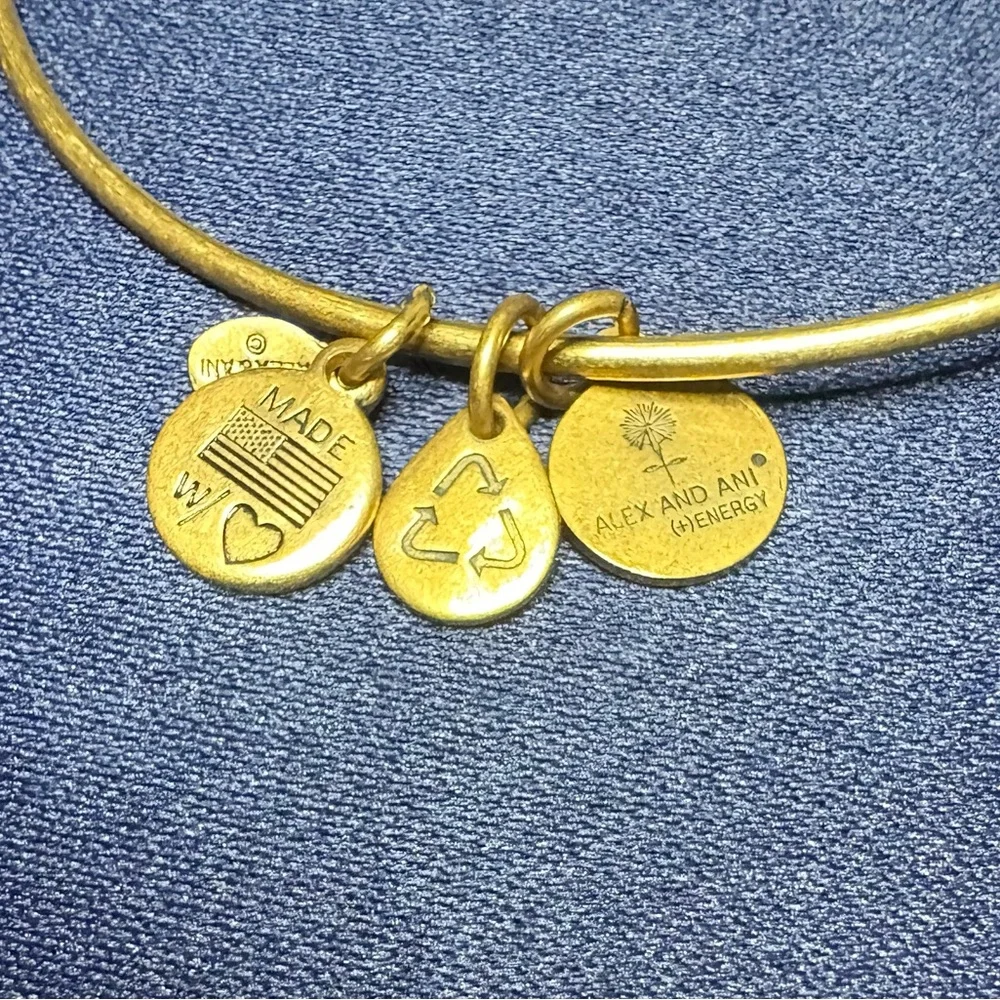 Alex and Ani stylish gold