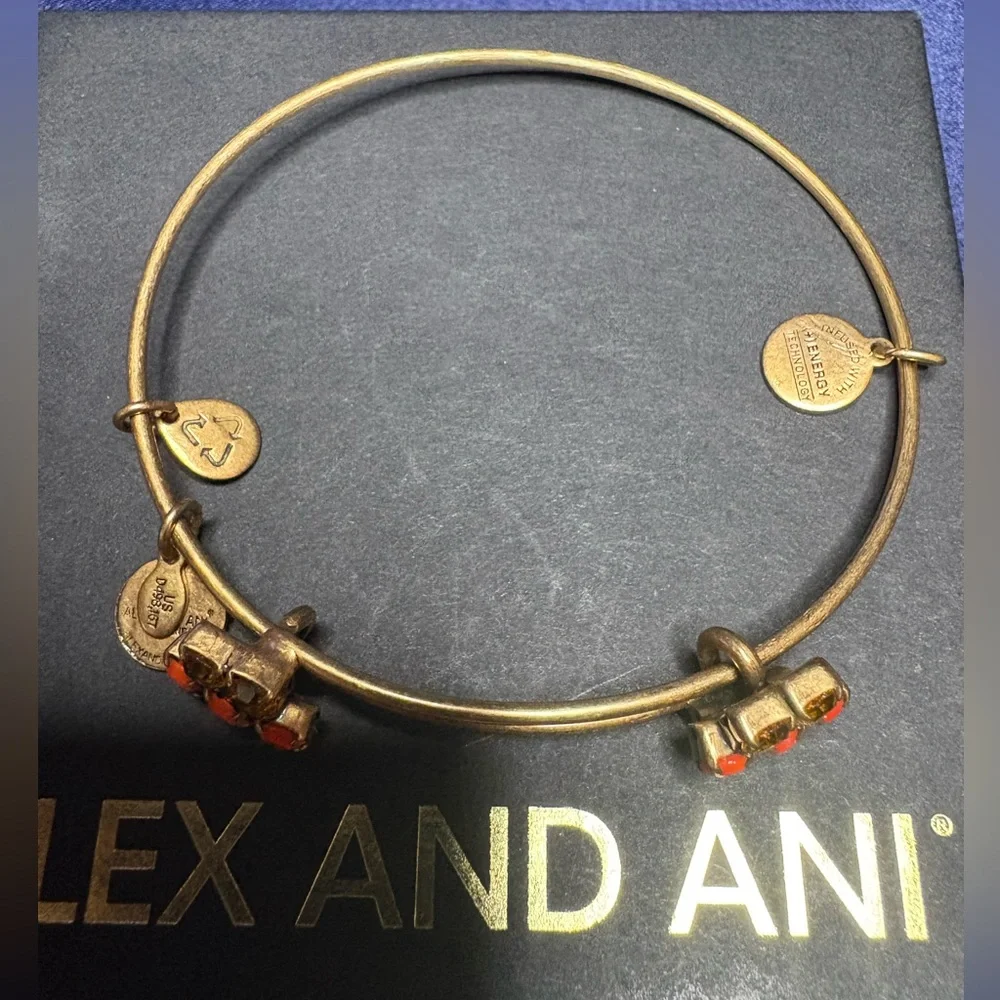 Alex and Ani stylish gold