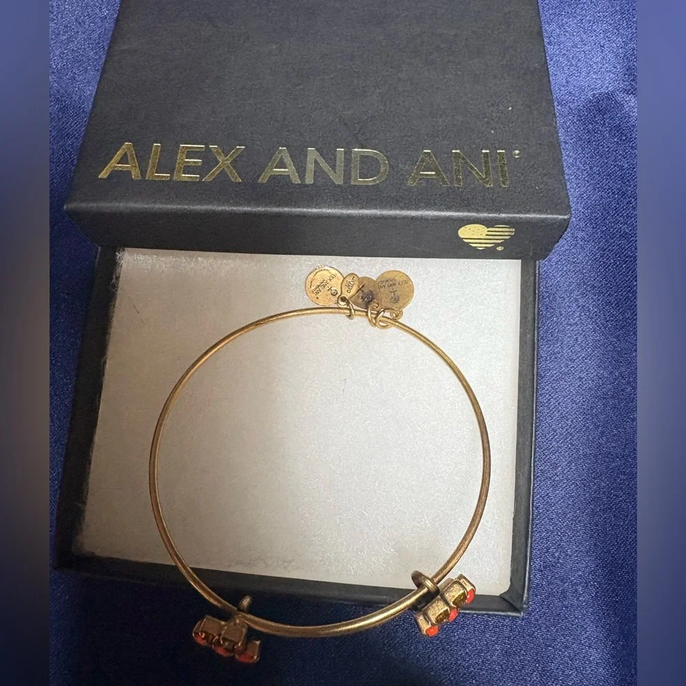 Alex and Ani stylish gold