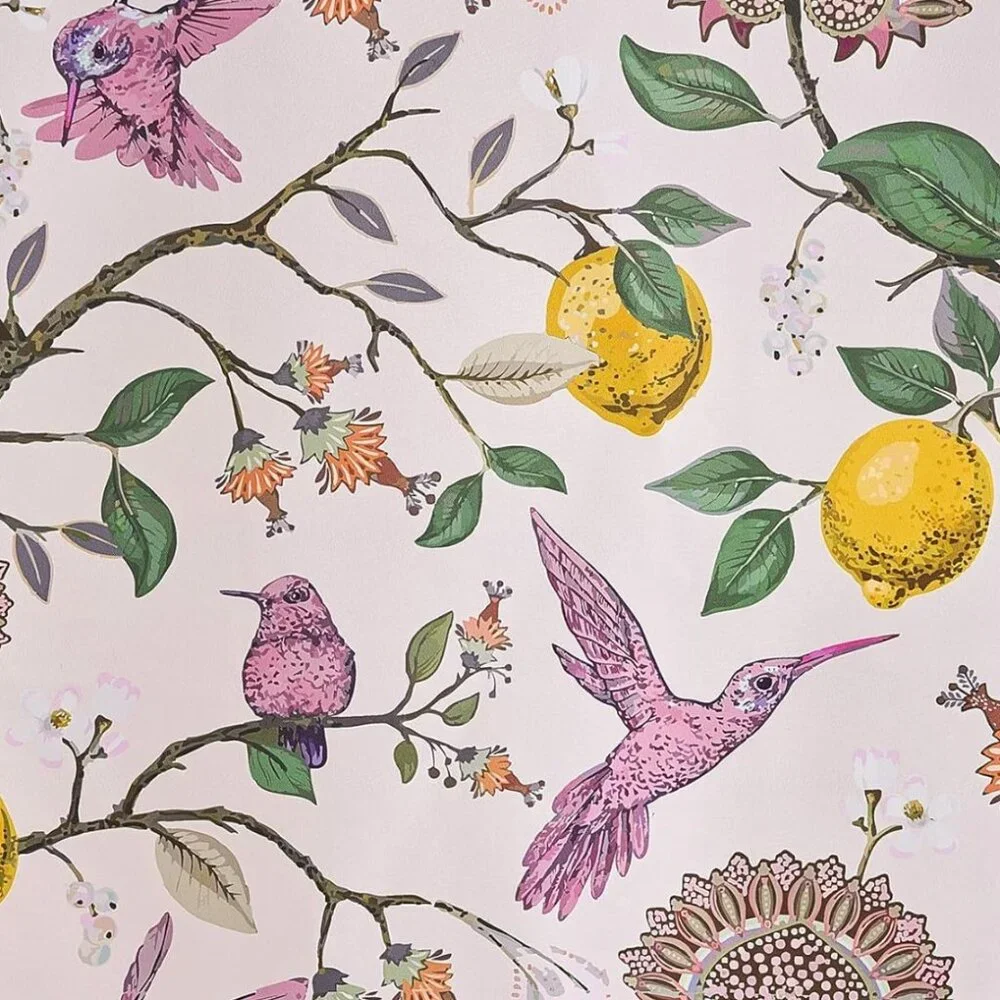 Urban Outfitters hummingbird paradise