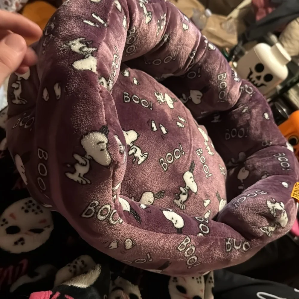 Peanuts snoopy halloween cute