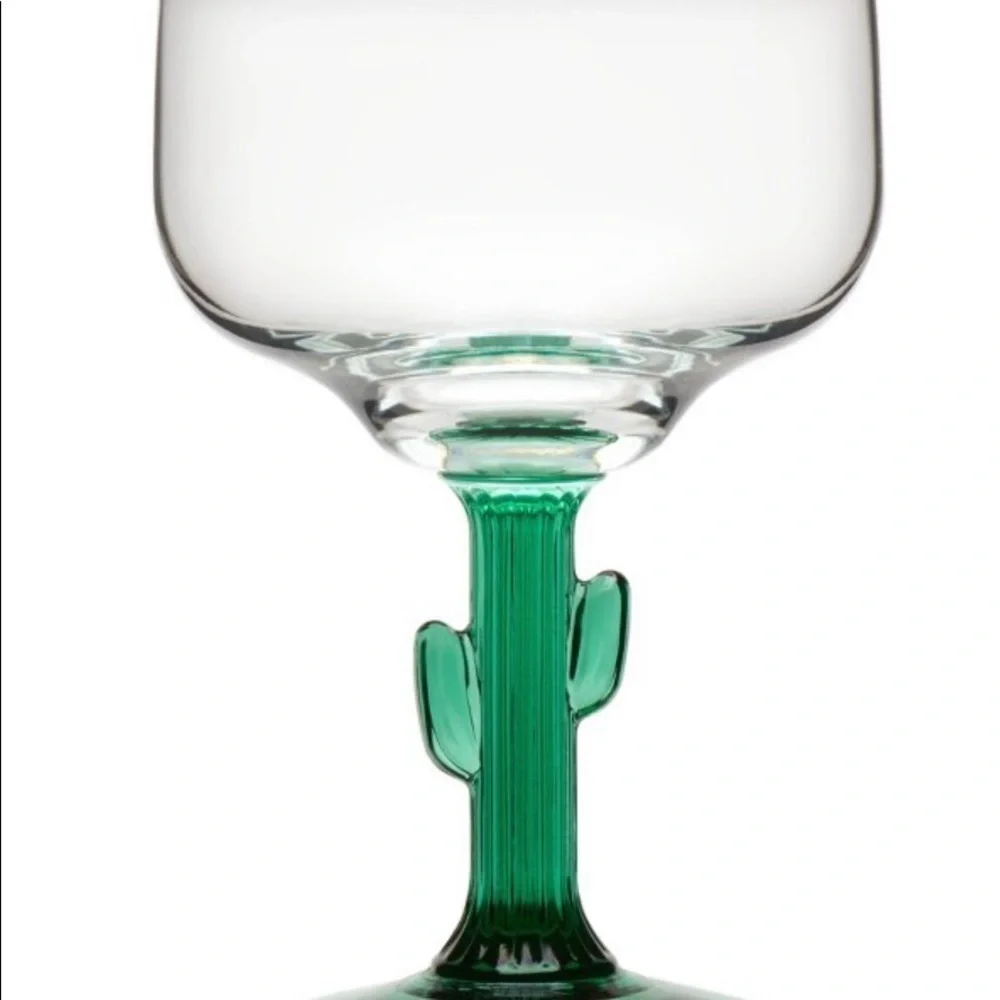 FALL SALE - Cactus 🌵 Glasses Set (2)