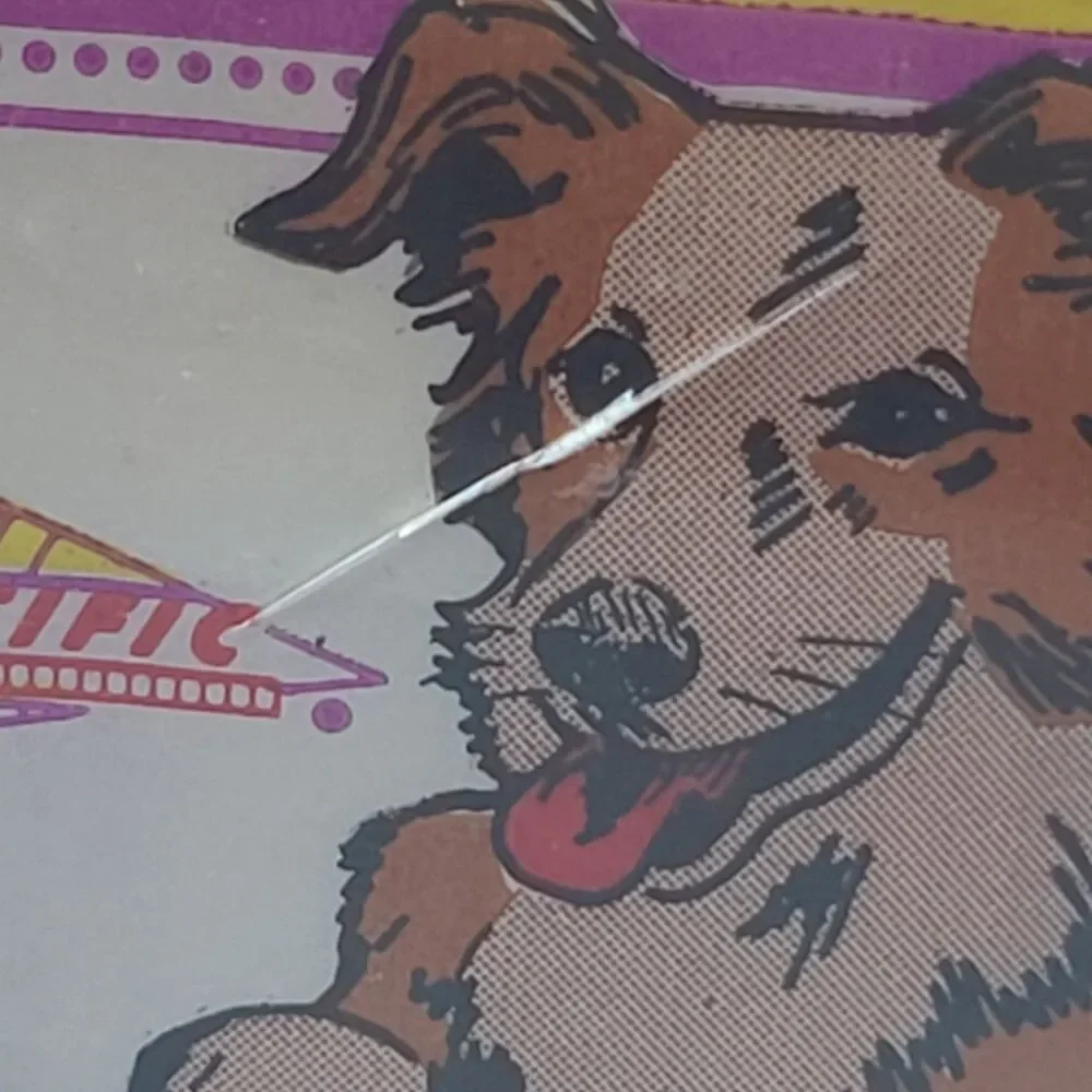 N/A bingo dog
