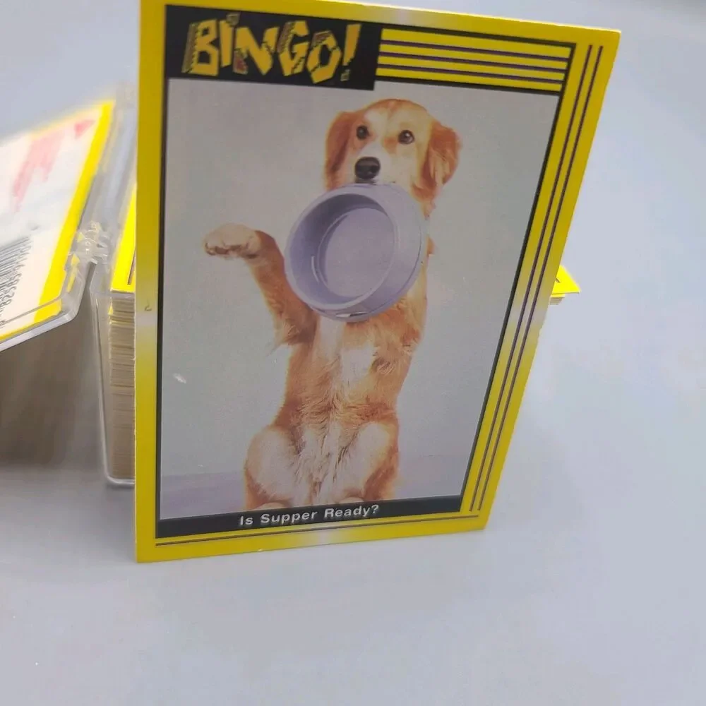 N/A bingo dog