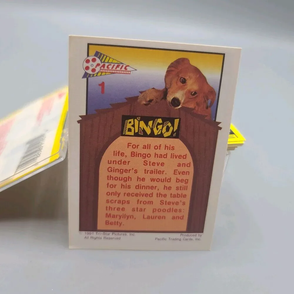 N/A bingo dog