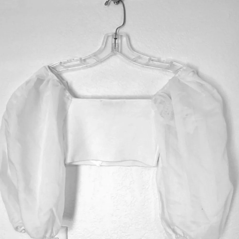 Zara Organza Sleeve Puff Blouse