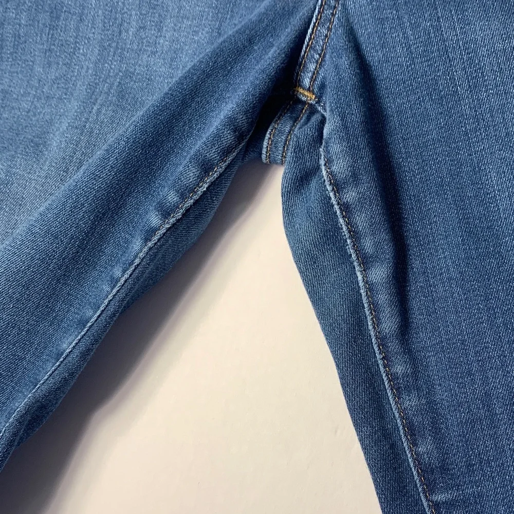 classic indigo