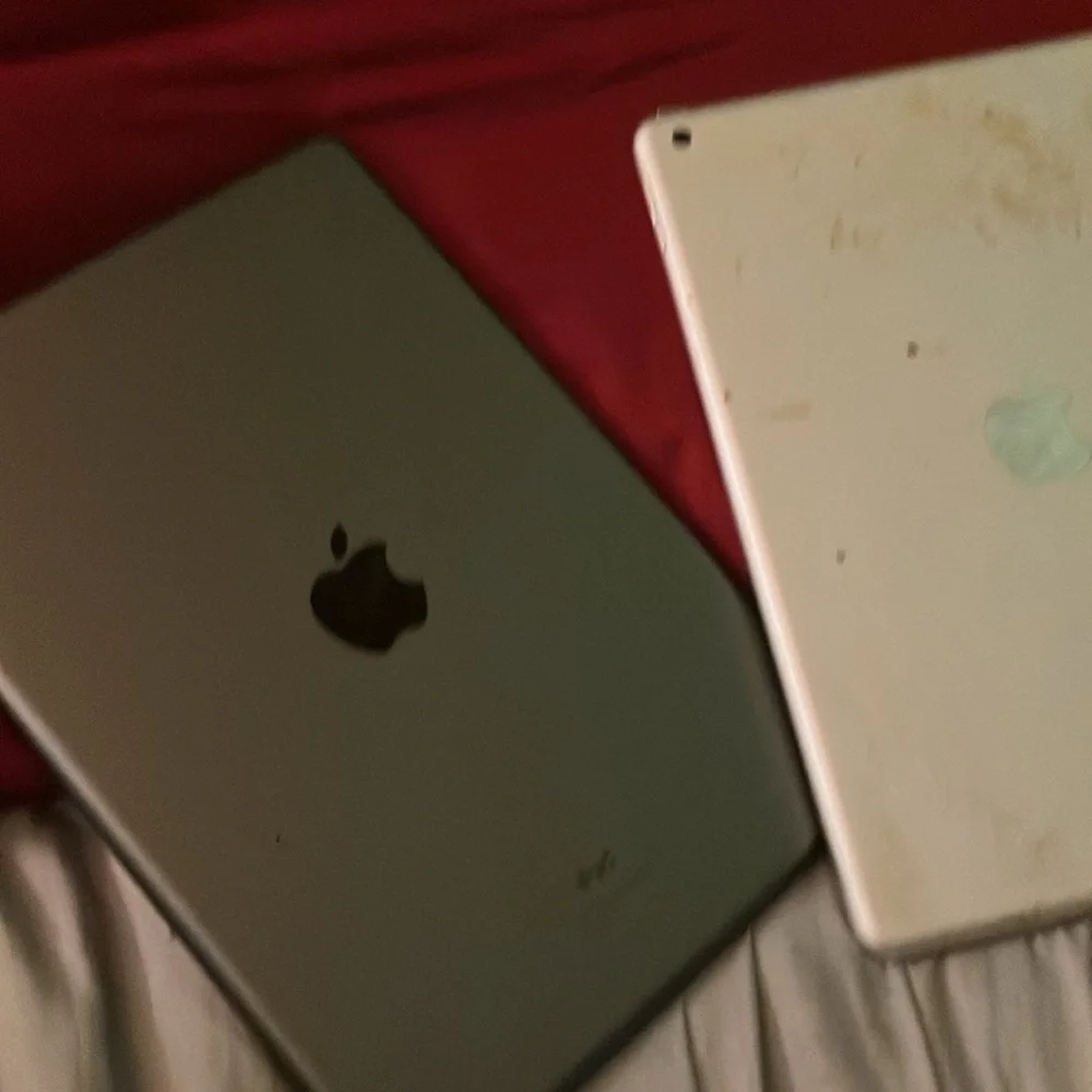 Apple iPad Pair - Gray and White