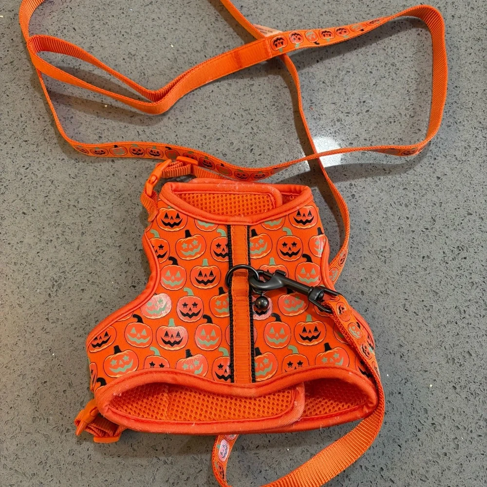 Orange pumpkin Cat Harness with Leash