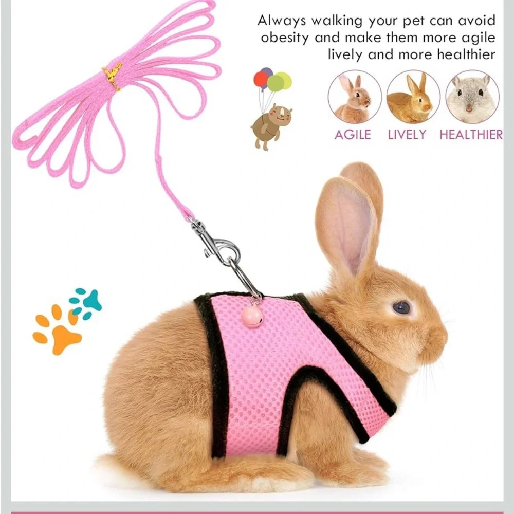 Small Pet Harness and Leash Set - Blue and Pink